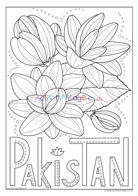 Pakistan national flower colouring page