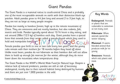 Panda fact sheet