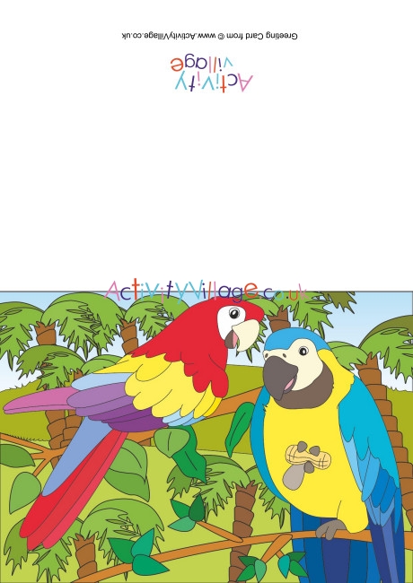 Parrots Scene Card