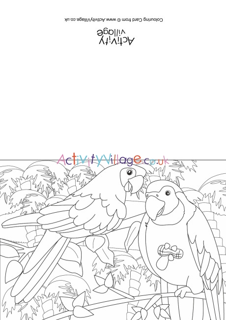 Parrots Scene Colouring Card