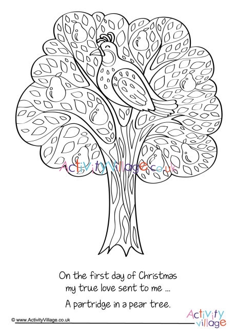 Partridge In A Pear Tree Colouring Page