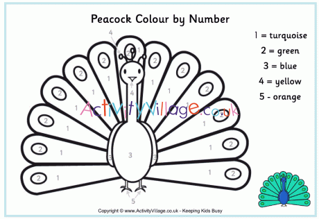 Peacock colour by number