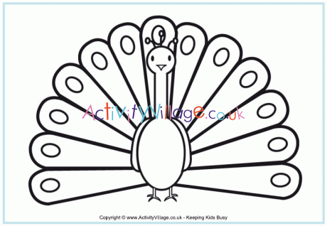 Peacock colouring page