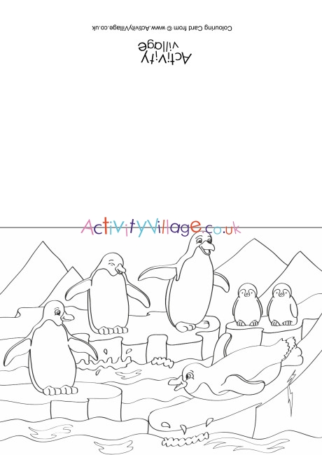 Penguins Scene Colouring Card