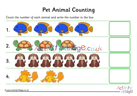 Pet Animal Counting 1