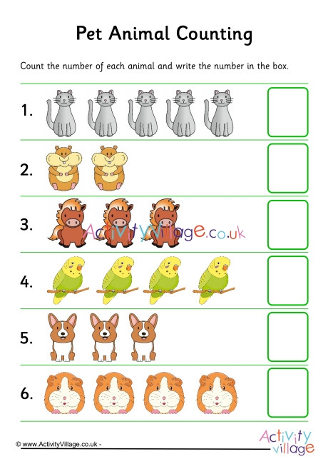 Pet Animal Counting 2