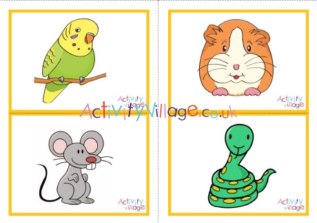 Pet Animal Picture Flashcards