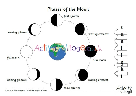Phases Of The Moon Poster