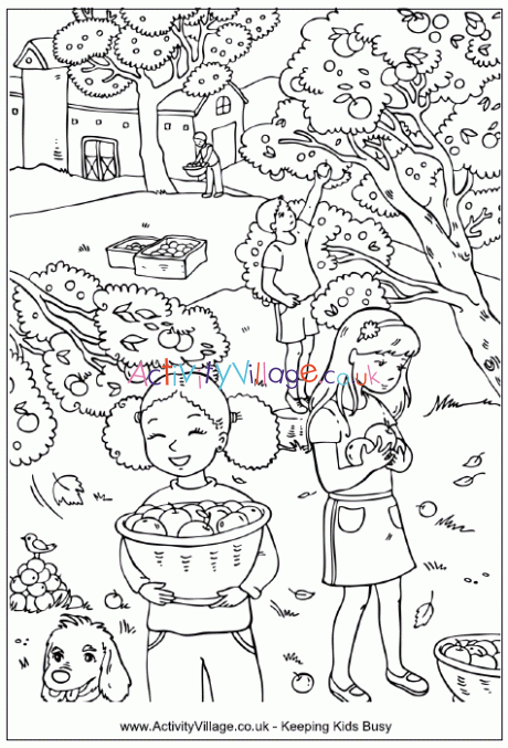 Picking apples colouring page