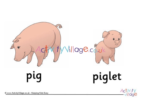 Pigs and Piglet Poster