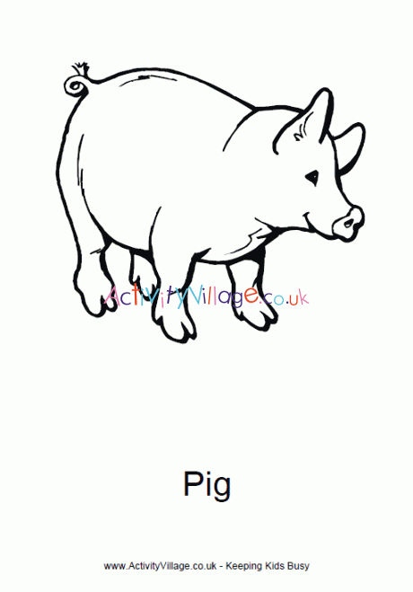Pig Colouring Page 2