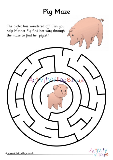 Pig Maze 1