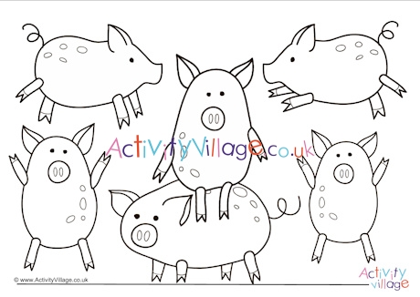 Pigs colouring page