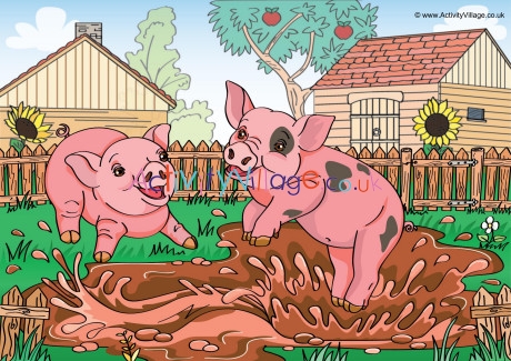 Pigs Scene Poster