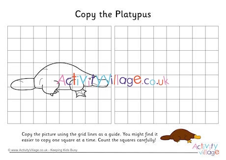 Platypus Grid Copy