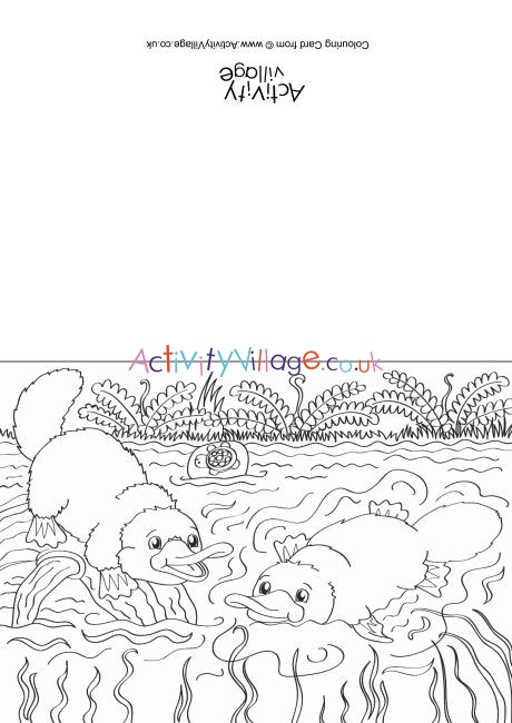 Platypus Scene Colouring Card