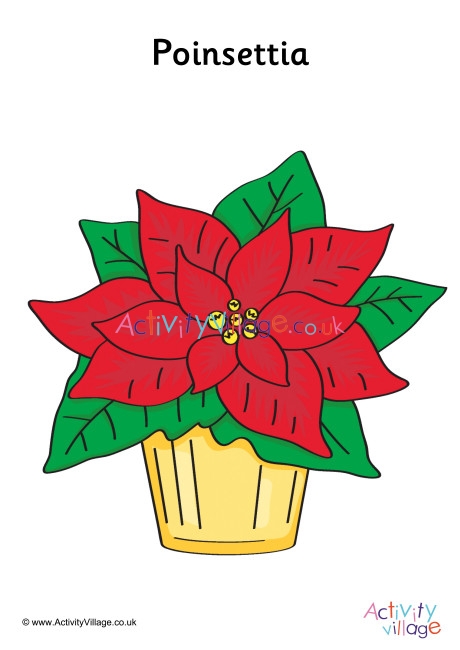 Poinsettia Poster 2