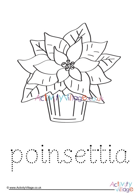 Poinsettia Word Tracing