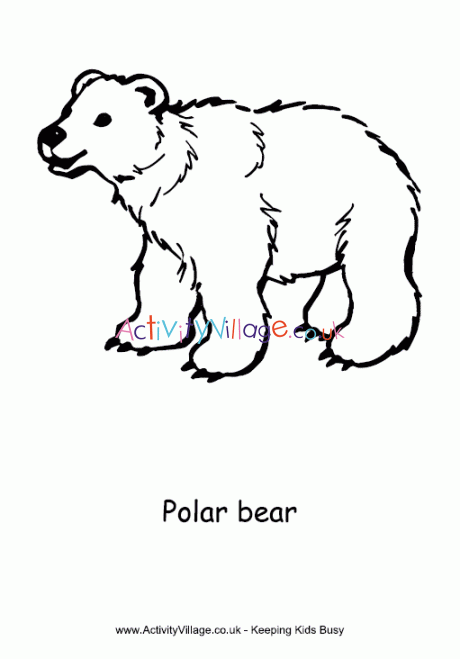 Polar bear colouring page