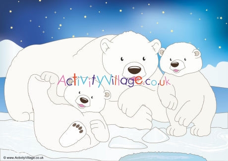 Polar Bears Scene Poster