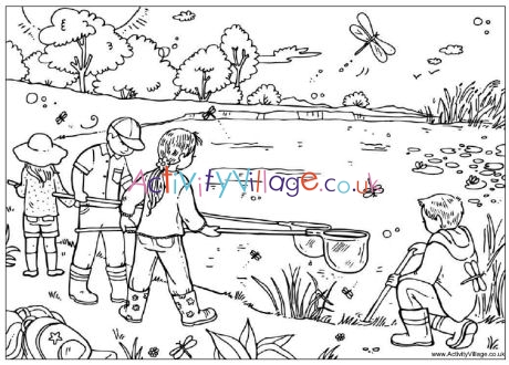 Pond dipping colouring page