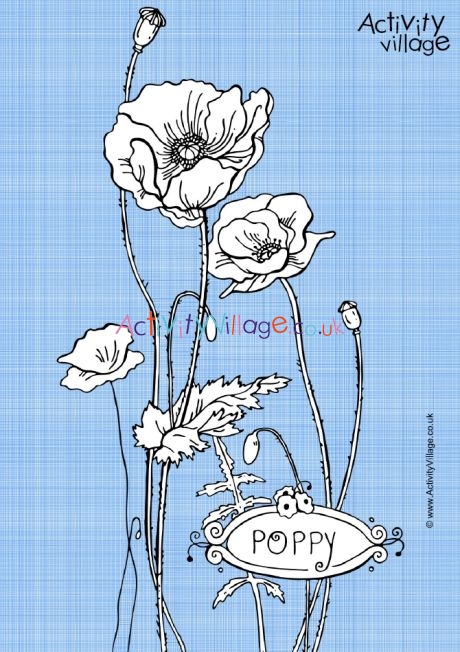 Poppy colouring page 3