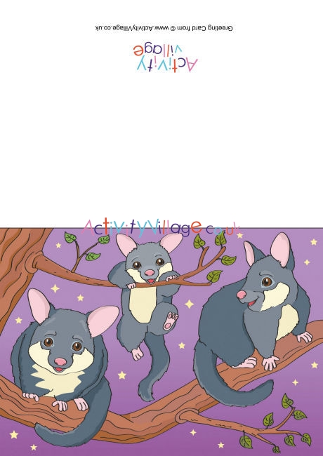 Possum Scene Card
