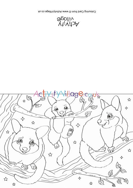 Possum Scene Colouring Card