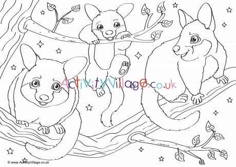 Possum Scene Colouring Page