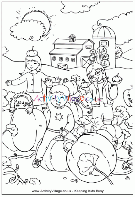 Pumpkin patch colouring page