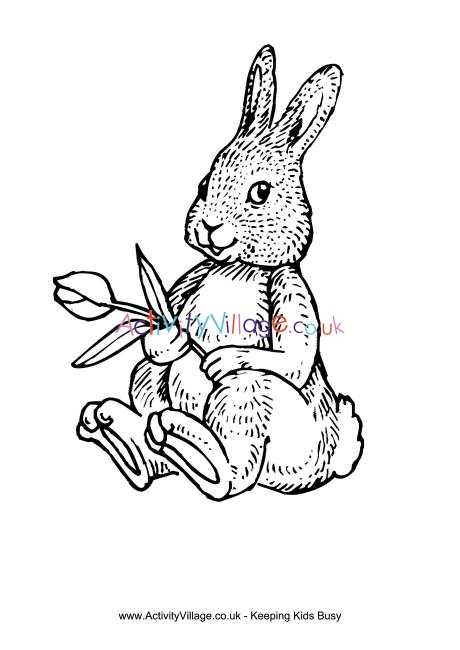 Rabbit and tulip colouring page