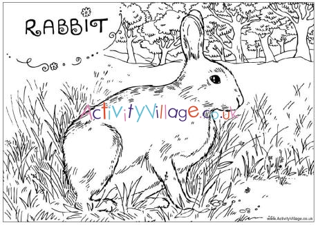 Rabbit colouring page 2