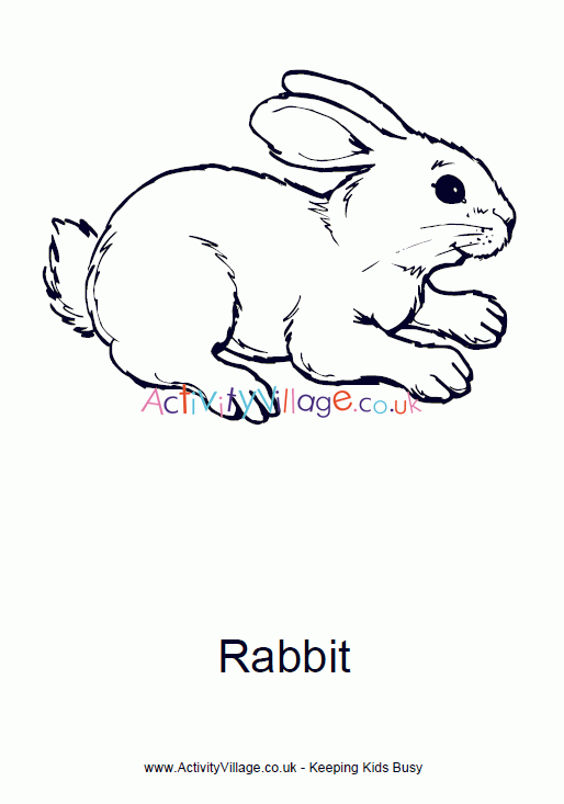 Rabbit colouring page 4