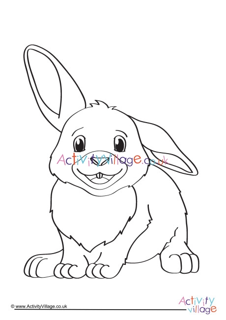 Rabbit Colouring Page 6