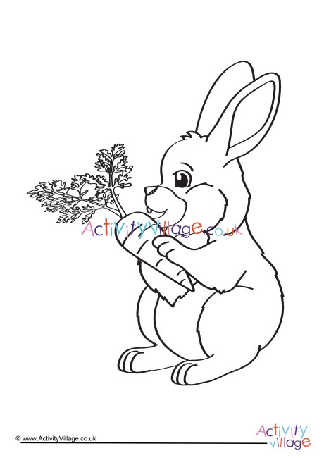 Rabbit Colouring Page 8