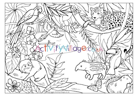 Rainforest colouring page