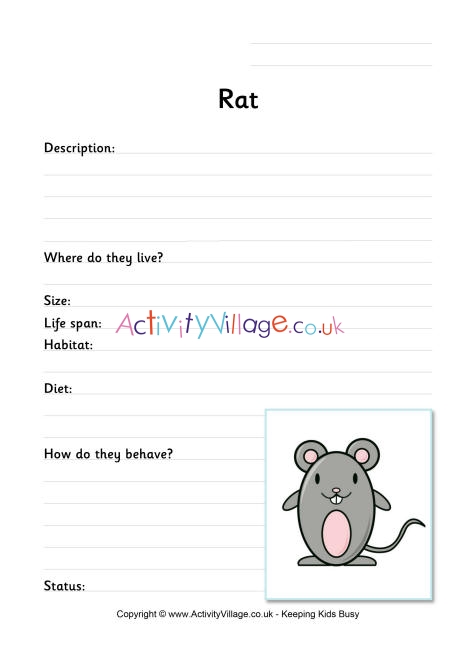 Rat Worksheet 