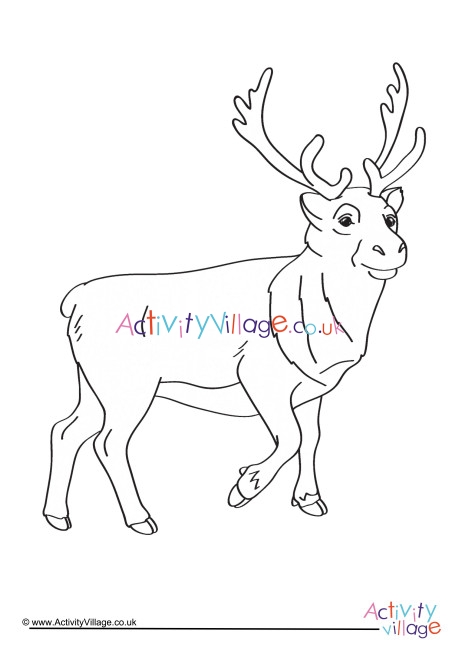 Reindeer Colouring Page 6