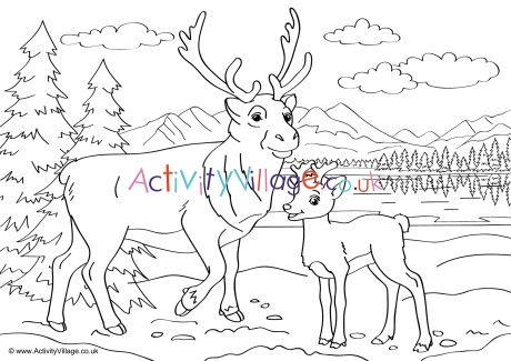 Reindeer Scene Colouring Page