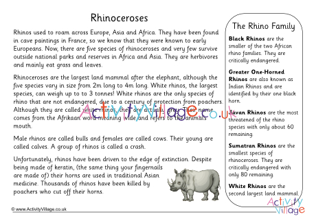 Rhino Fact Sheet Printable 