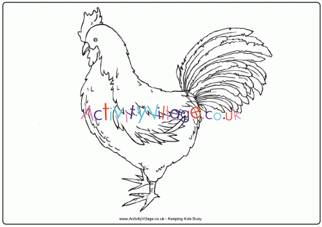 Rooster colouring page 2