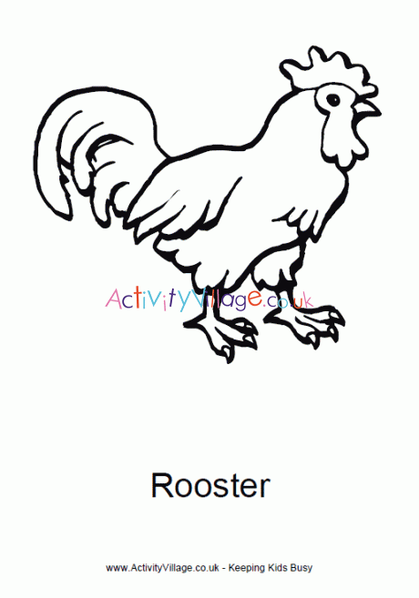 Rooster colouring page