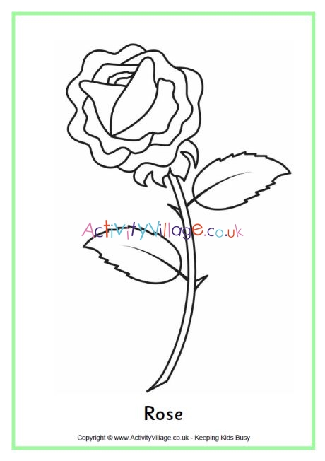 Rose colouring page 3