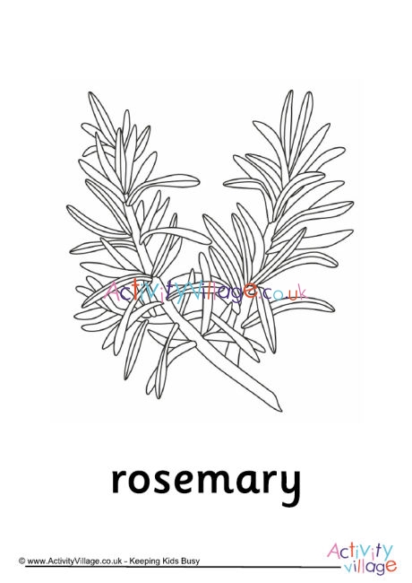 Rosemary colouring page