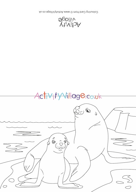 Sea Lions Scene Colouring Card