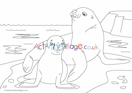 Sea Lions Scene Colouring Page