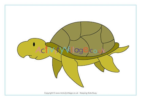 Sea Turtle Poster