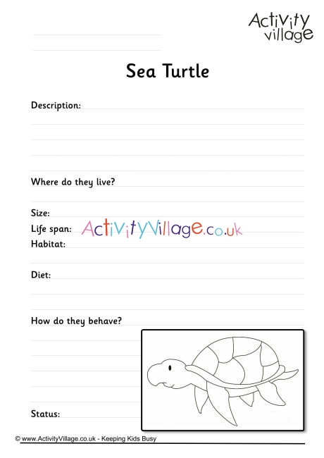 Sea Turtle Worksheet