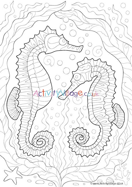 Seahorse Doodle Colouring Page