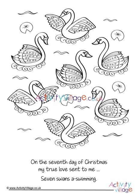 Seven Swans Swimming Colouring Page